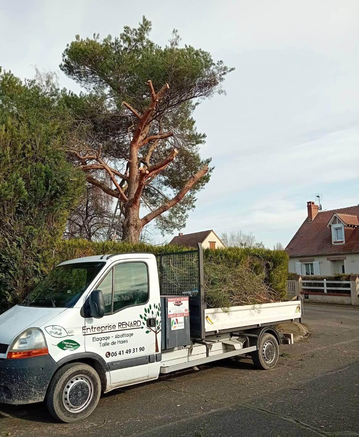 Élagueur 41 — intervention d'élagage avec utilitaire