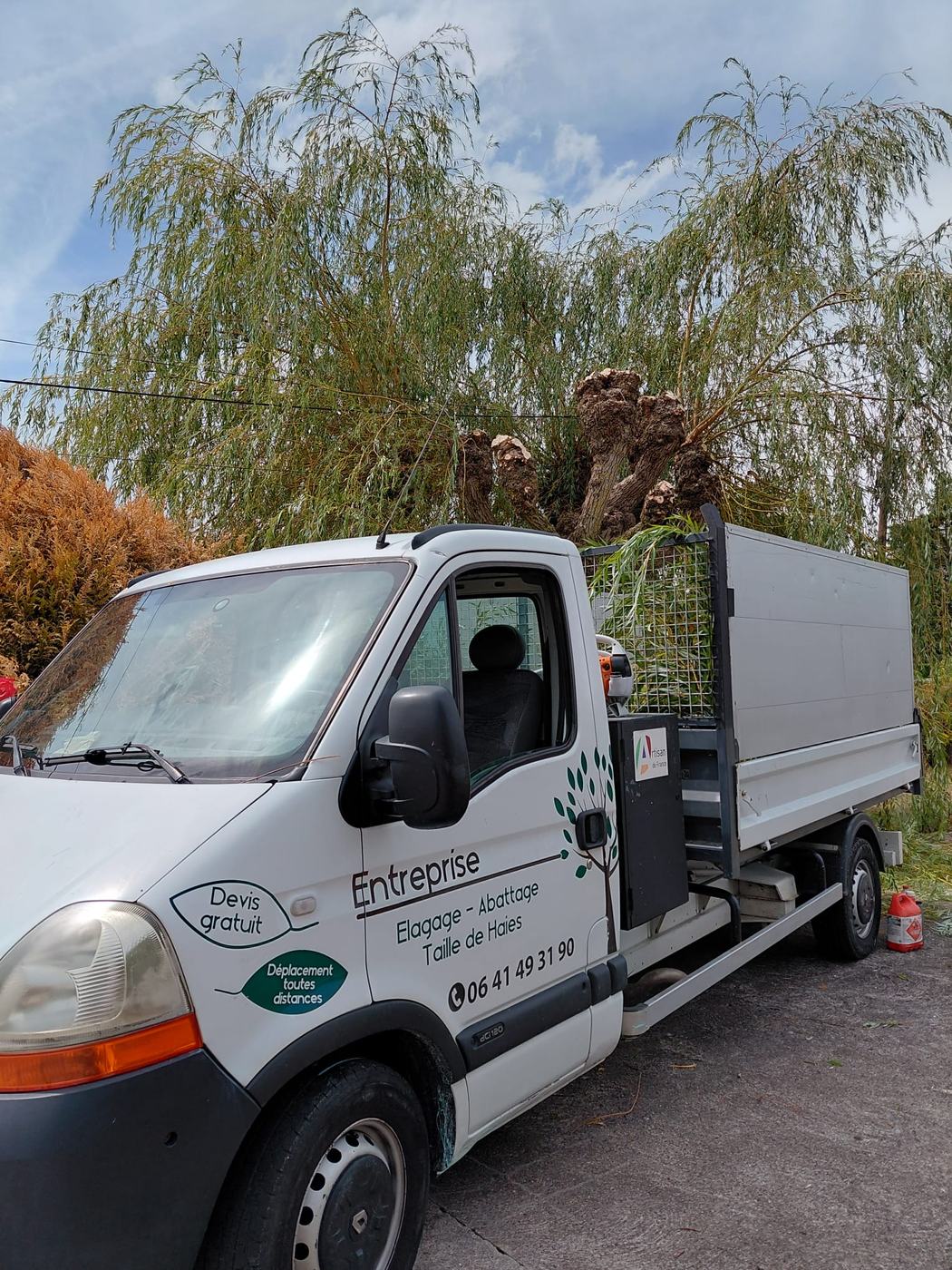 Élagage de saule et évacuation des branches par l'Entreprise Renard, élagueur du 41